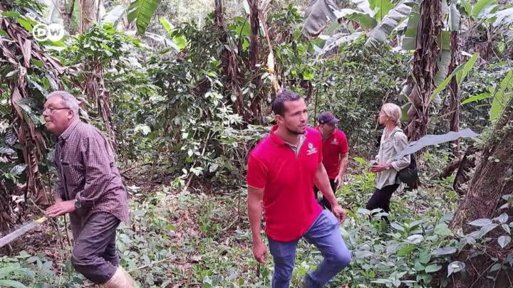 Thumbnail image for Euromaxx