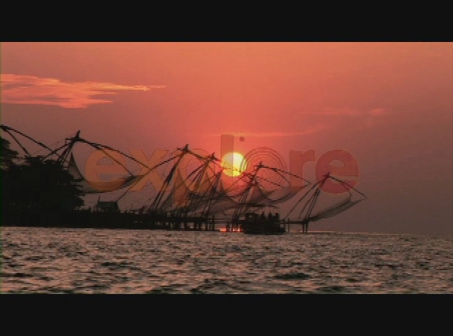 LINK Explore: Fish Out of Water