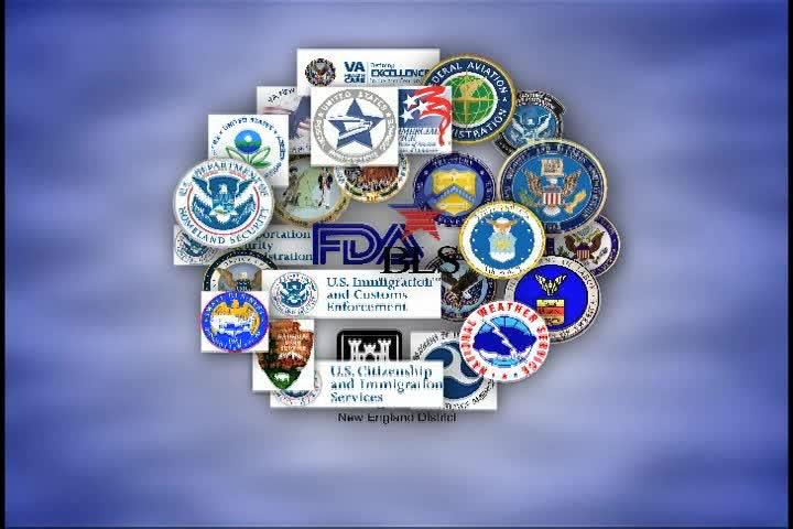 Your Federal Government: IRSCID