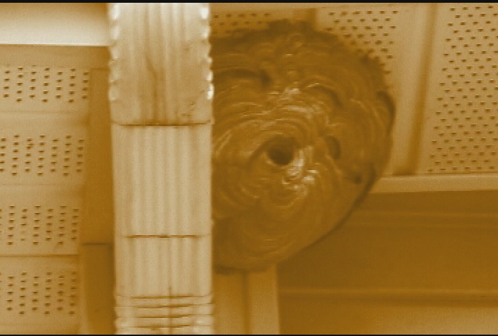 Thumbnail image for Link TV